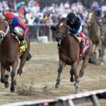 Awesome Aaron - Pimlico Special - Barbara D. Livingston - Daily Racing Form