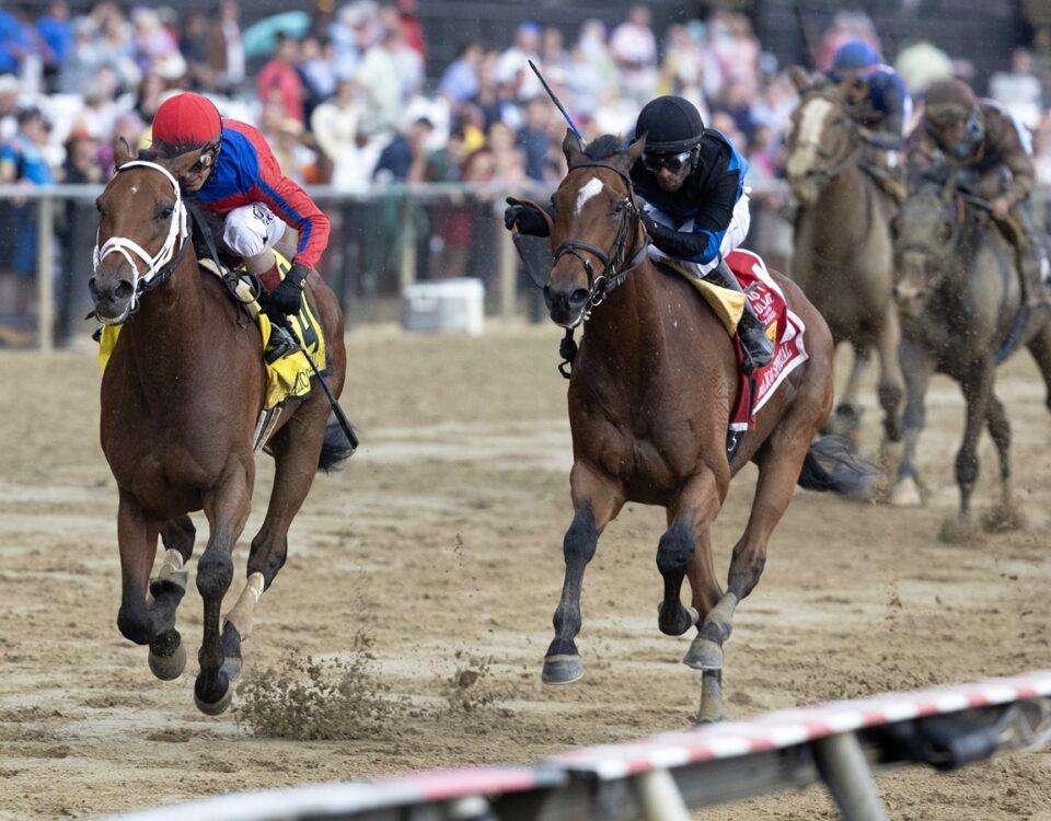 Awesome Aaron - Pimlico Special - Barbara D. Livingston - Daily Racing Form