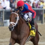 Awesome Aaron - Pimlico Special - Debra A Roma - Daily Racing Form