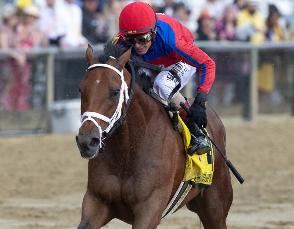 Awesome Aaron - Pimlico Special - Debra A Roma - Daily Racing Form