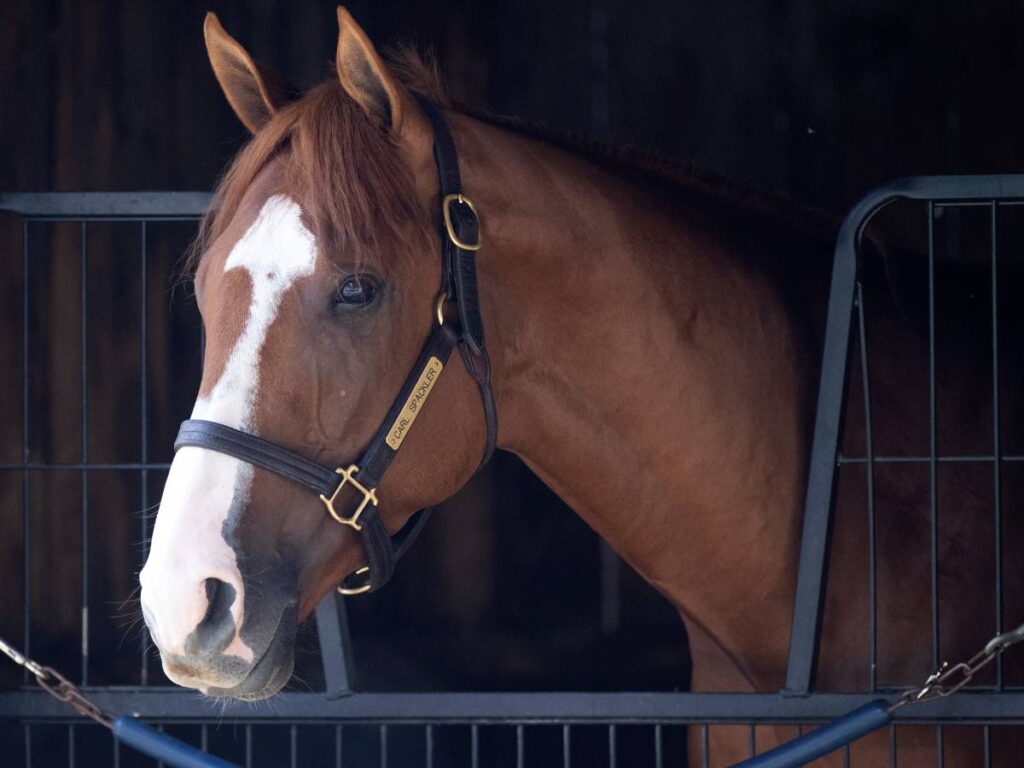 Carl Spackler - Barbara D. Livingston - Daily Racing Form