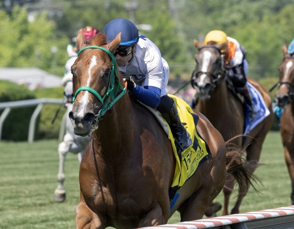 Charlene's Dream - Gallorette Stakes G3 - Debra A. Roma - Daily Racing Form