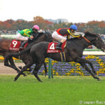 Croix Du Nord (Jpn) - Foto credito - Japan Racing Association