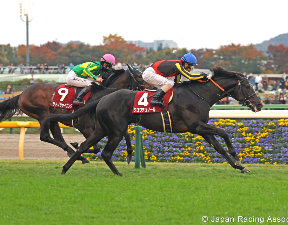 Croix Du Nord (Jpn) - Foto credito - Japan Racing Association