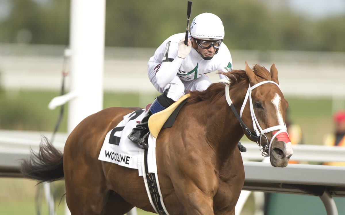 Caitlinhergrtness - Belle Mahone (Grade III) Stakes - Woodbine/ Michael Burns Photo
