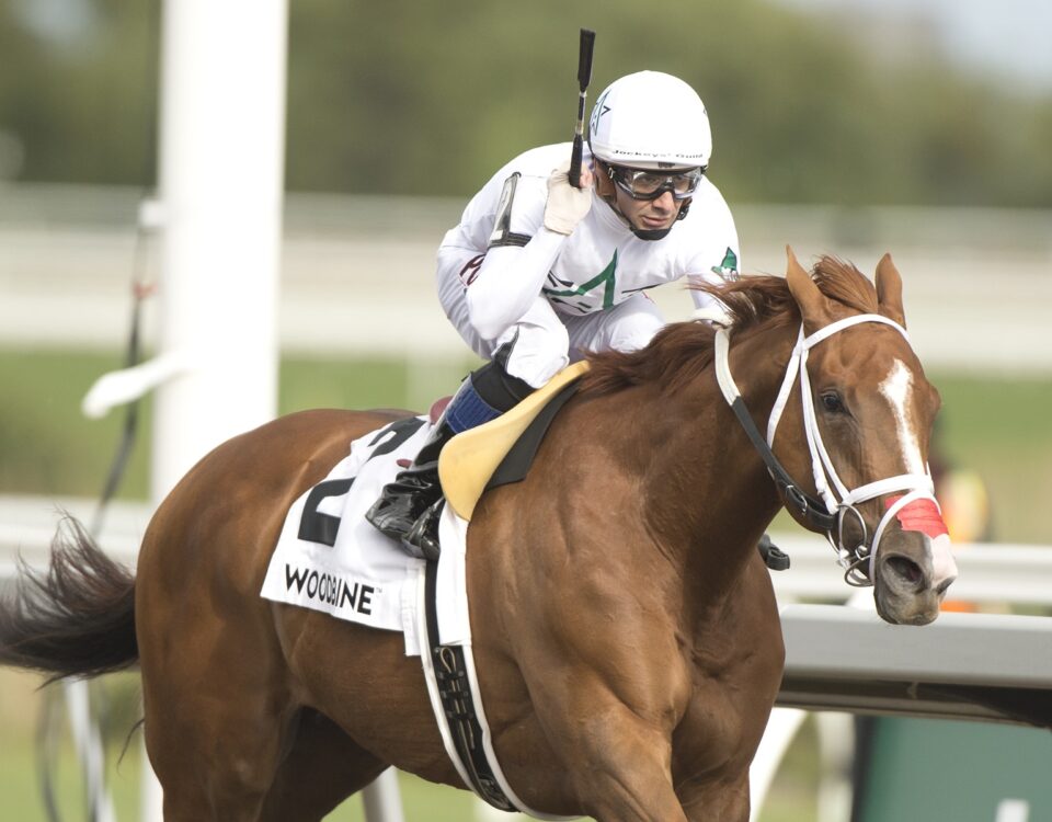 Caitlinhergrtness - Belle Mahone (Grade III) Stakes - Woodbine/ Michael Burns Photo