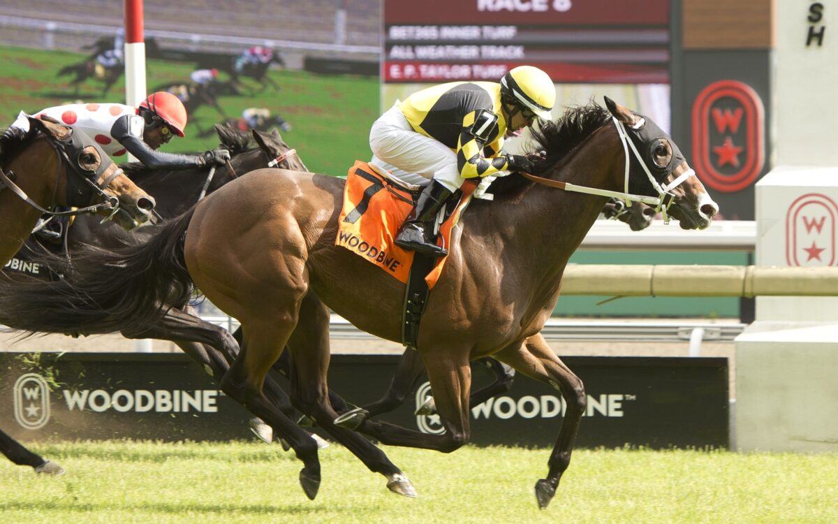 Ms. Tartt - HPIbet Royal North Stakes - Wodbine/Michael Burns Photo