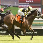 Ms. Tartt - HPIbet Royal North Stakes - Wodbine/Michael Burns Photo