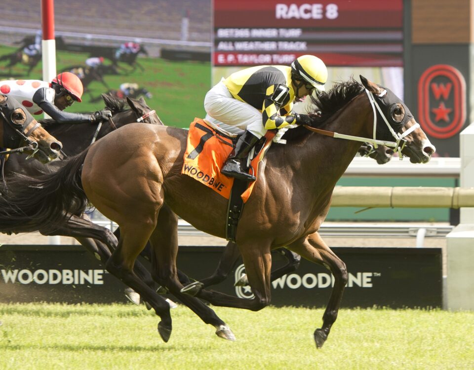 Ms. Tartt - HPIbet Royal North Stakes - Wodbine/Michael Burns Photo