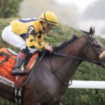 Far Bridge - Barbara D. Livingston - Daily Racing Form