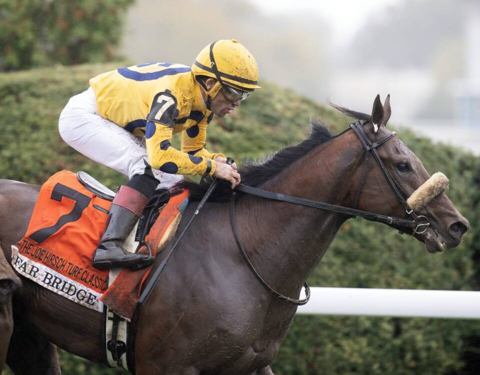 Far Bridge - Barbara D. Livingston - Daily Racing Form