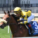 Far Bridge - Man o´War Stakes - Chelsea Durand - Coglianese Photo