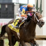 Fierceness - Alysheba G2 - Barbara D. Livingston - Daily Racing Form