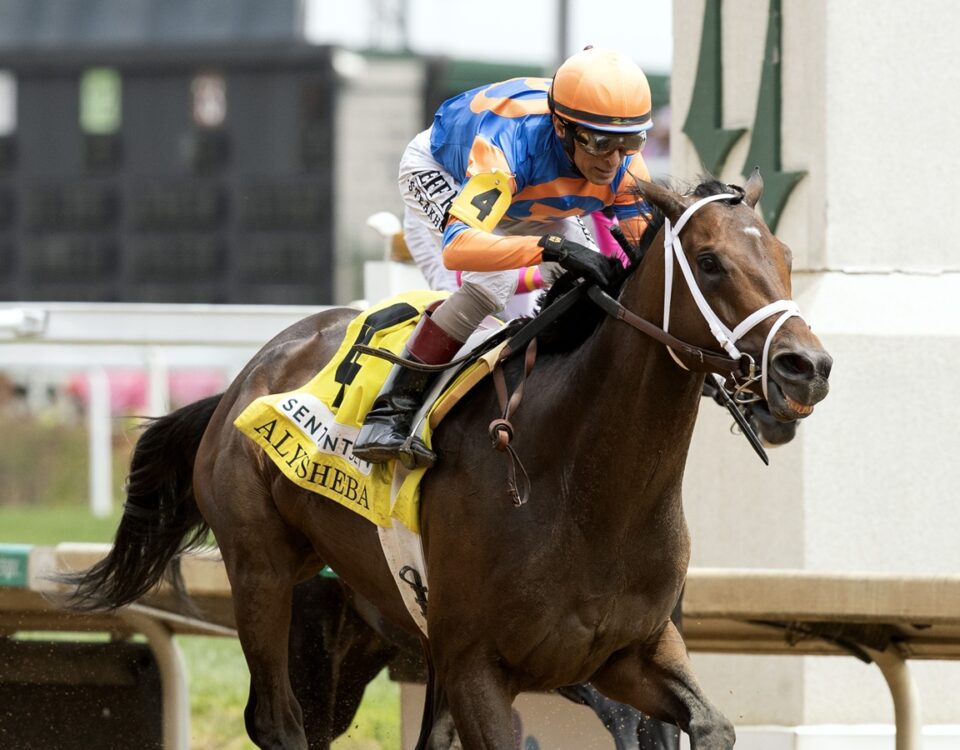 Fierceness - Alysheba G2 - Barbara D. Livingston - Daily Racing Form