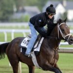Fierceness - Saratoga, May 2025. Foto: Barbara D. Livingston / Daily Racing Form
