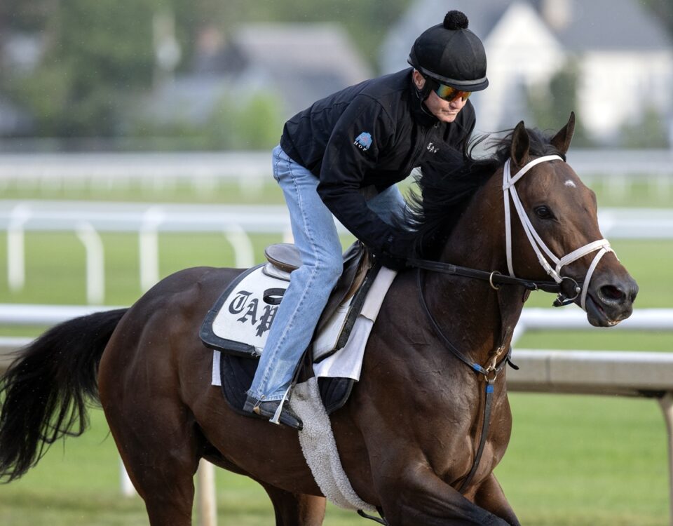 Fierceness - Saratoga, May 2025. Foto: Barbara D. Livingston / Daily Racing Form