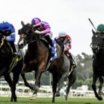Firenze Flavor (parte externa) - Honeymoon Stakes Sunday G3 - Benoit Photo, Santa Anita, CA.