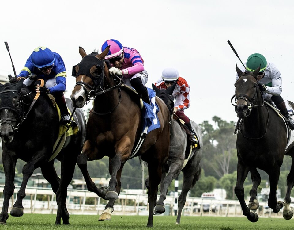 Firenze Flavor (parte externa) - Honeymoon Stakes Sunday G3 - Benoit Photo, Santa Anita, CA.