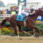 Funny Cide - Preakness Stakes 2023 - Barbara D Livingston - Daily Racing Form