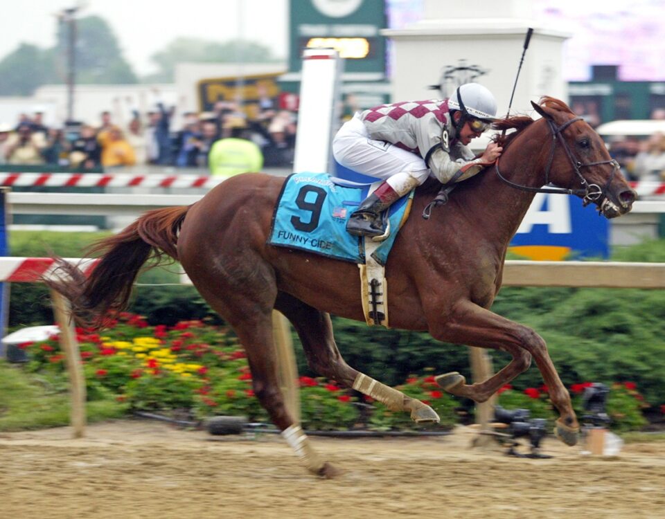 Funny Cide - Preakness Stakes 2023 - Barbara D Livingston - Daily Racing Form