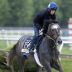 Gosger - Barbara D. Livingston - Daily Racing Form