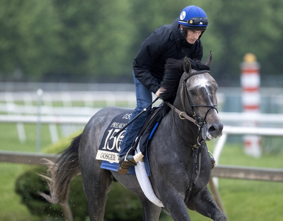 Gosger - Barbara D. Livingston - Daily Racing Form