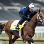 Journalism - Barbara D. Livingston - Daily Racing Form
