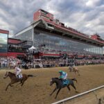 Journalism - Preakness Stakes G1 - Debra A. Roma - Daily Racing Form