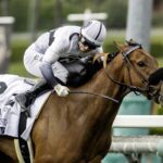 Jungle Peace - Senorita Stakes G3 - Benoit Photo