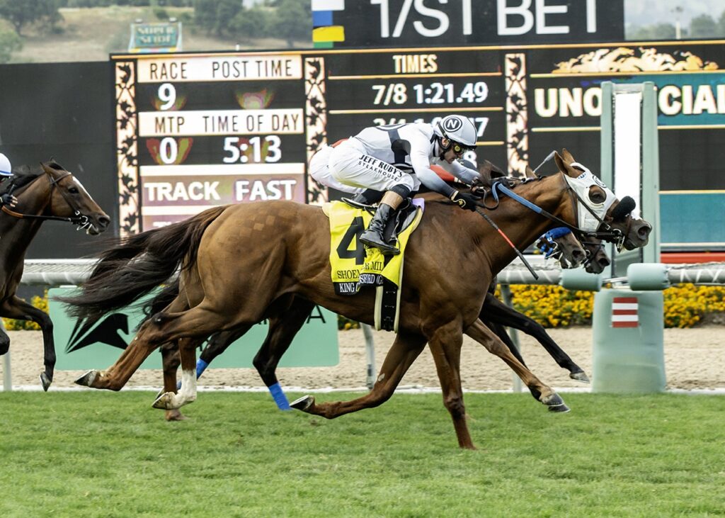 King of Gosford - Shoemaker Mile G1T - Benoit Photo