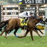 King of Gosford - Shoemaker Mile G1T - Benoit Photo