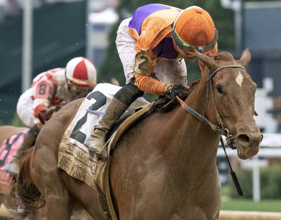 Kopion - Barbara D. Livingston - Daily Racing Form