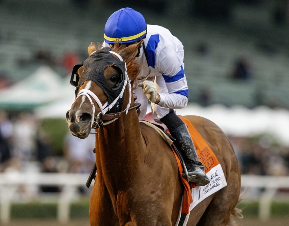 Locked - Santa Anita Handicap G1 - Benoit Photo