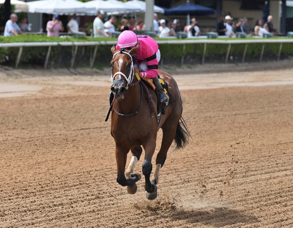 Luvumorgan - the Game Face - credit Ryan Thompson - Coglianese Photo