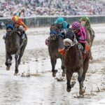 Macho Music - Pat Day Mile G2 - Barbara D. Livingston - Daily Racing Form