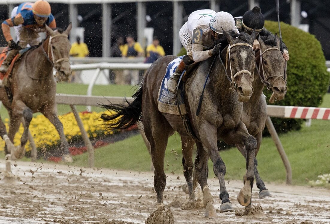 Margie's Intention - Black-Eyed Susan G3 - Barbara D. Livingston - Daily Racing Form