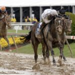 Margie's Intention - Black-Eyed Susan G3 - Barbara D. Livingston - Daily Racing Form
