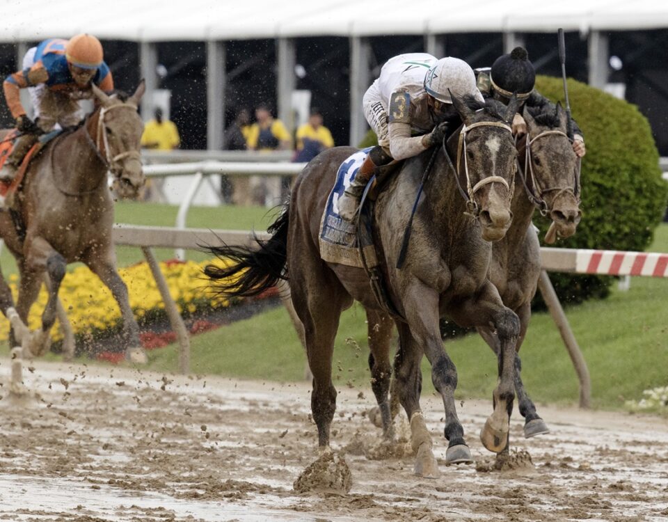 Margie's Intention - Black-Eyed Susan G3 - Barbara D. Livingston - Daily Racing Form