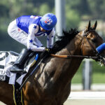 Nysos - Triple Bend Stakes G3 - Santa Anita Park- Benoit Photo.