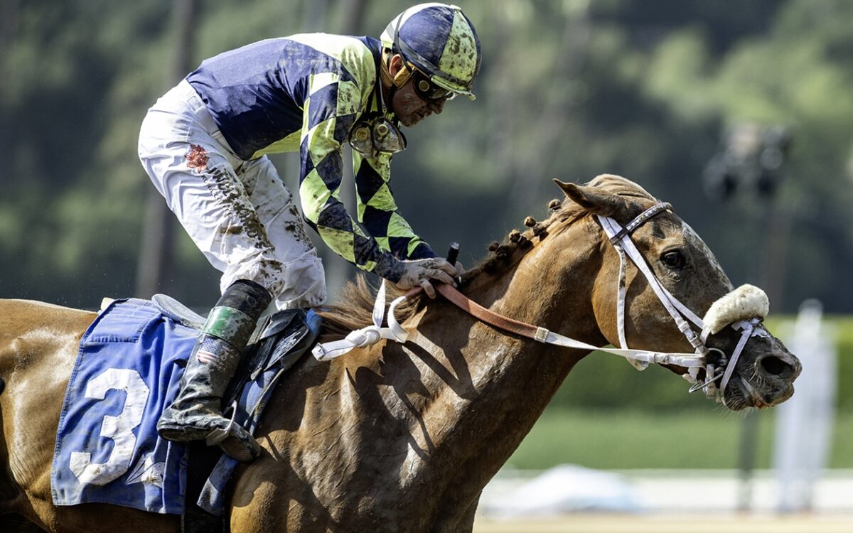 Om N Joy - Melair Stakes - Benoit Photo