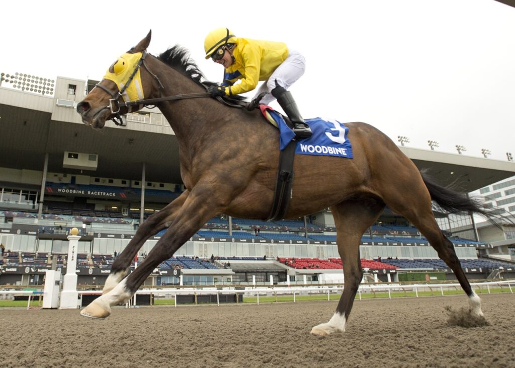 Patches O'Houlihan - Woodbine - Foto: Michael Burns