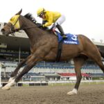 Patches O'Houlihan - Woodbine - Foto: Michael Burns