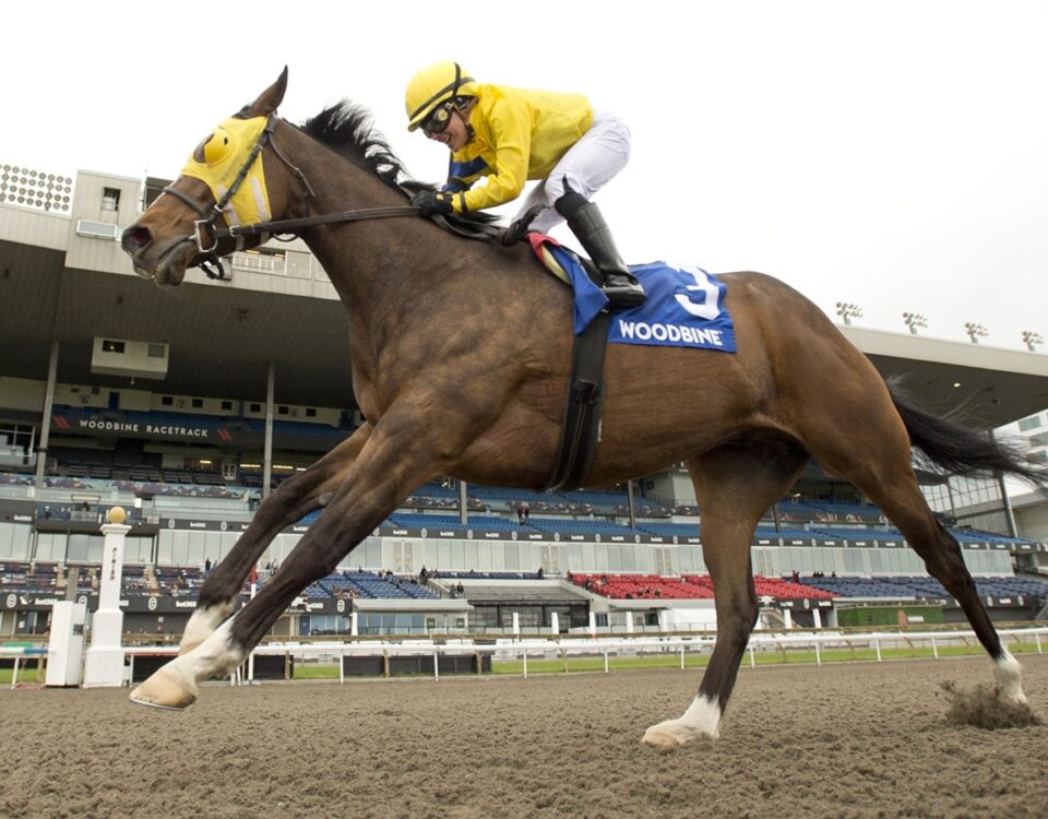 Patches O'Houlihan - Woodbine - Foto: Michael Burns