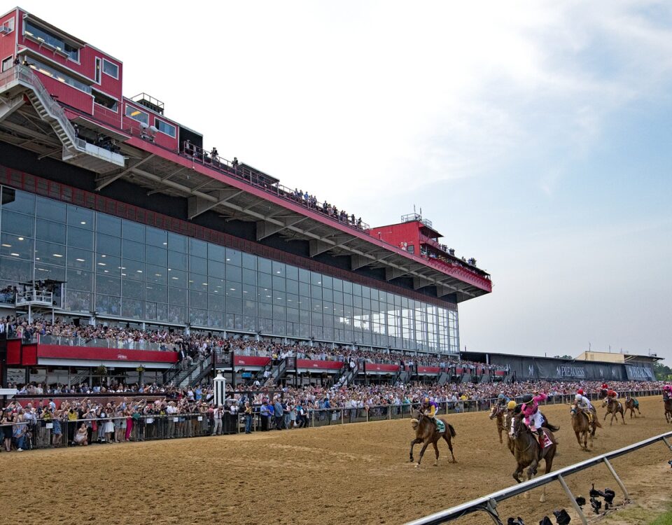 Preakness 2019 - Barbara D. Livingston - Daily Racing Form