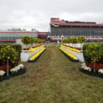 Preakness winner's path - Barbara D. Livingston - Daily Racing Form