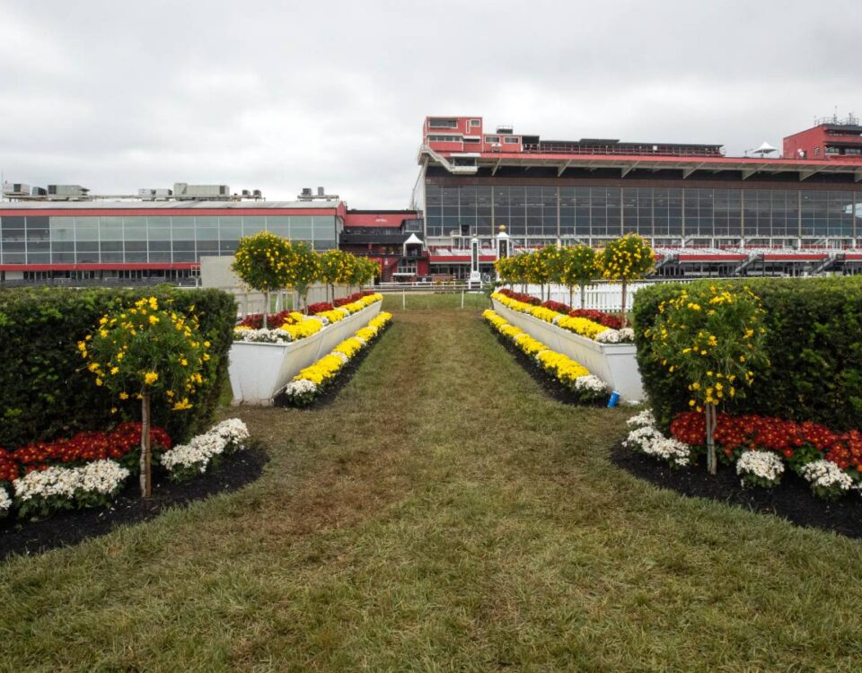 Preakness winner's path - Barbara D. Livingston - Daily Racing Form