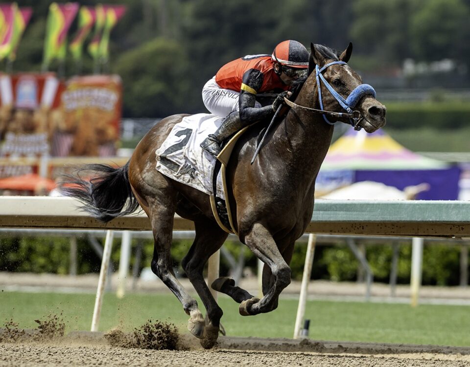 Private Gem - Thor's Echo Stakes - Benoit Photo