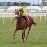 Sandal's Song - Royal Palm Juvenile Stakes - Ryan Thompson Coglianese Photo