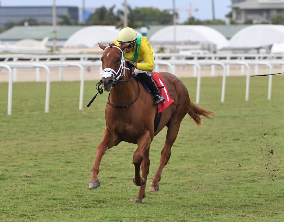 Sandal's Song - Royal Palm Juvenile Stakes - Ryan Thompson Coglianese Photo