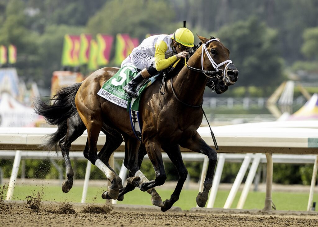 Skippylongstocking - Hollywood Gold Cup G2 - Benoit Photo